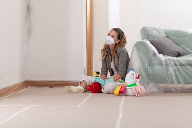 Reliable Black Mold Removal contractor in Fairfax Station, VA by WQB Mold Removal